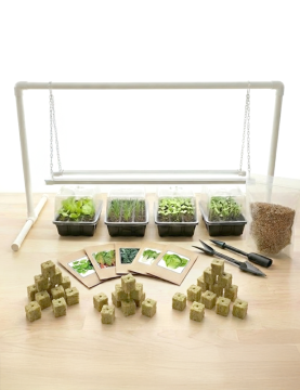 Germination Kit