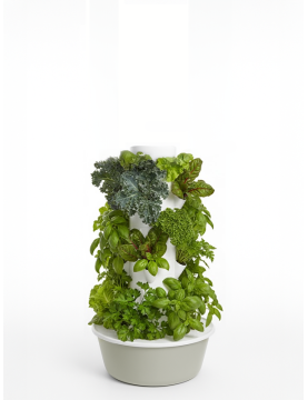 All-Inclusive 20-Plant Outdoor Hydroponic Tower Kit