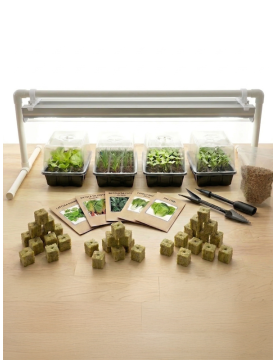 Germination Kit
