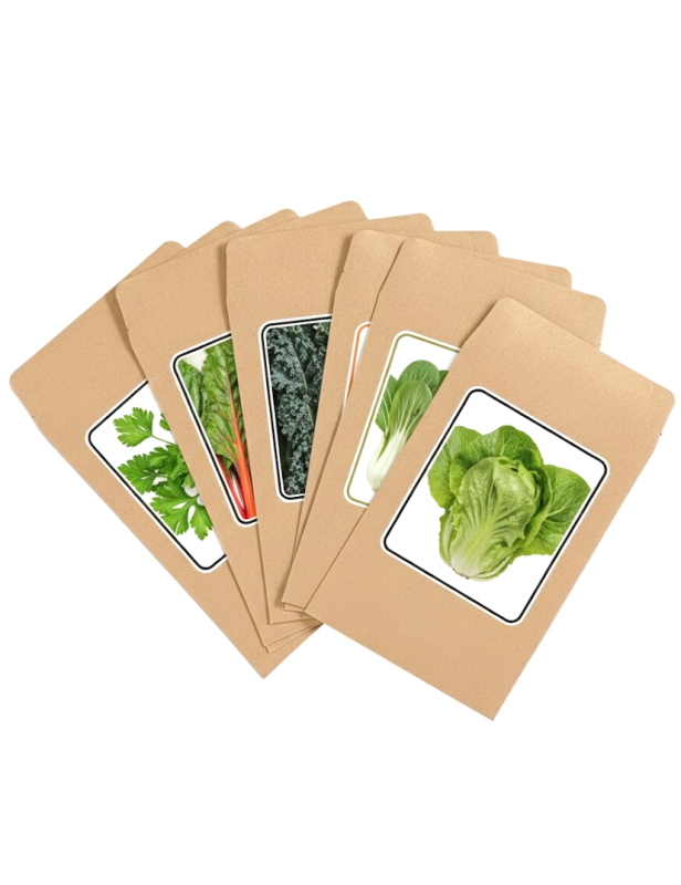 Set semi ortaggi a foglia