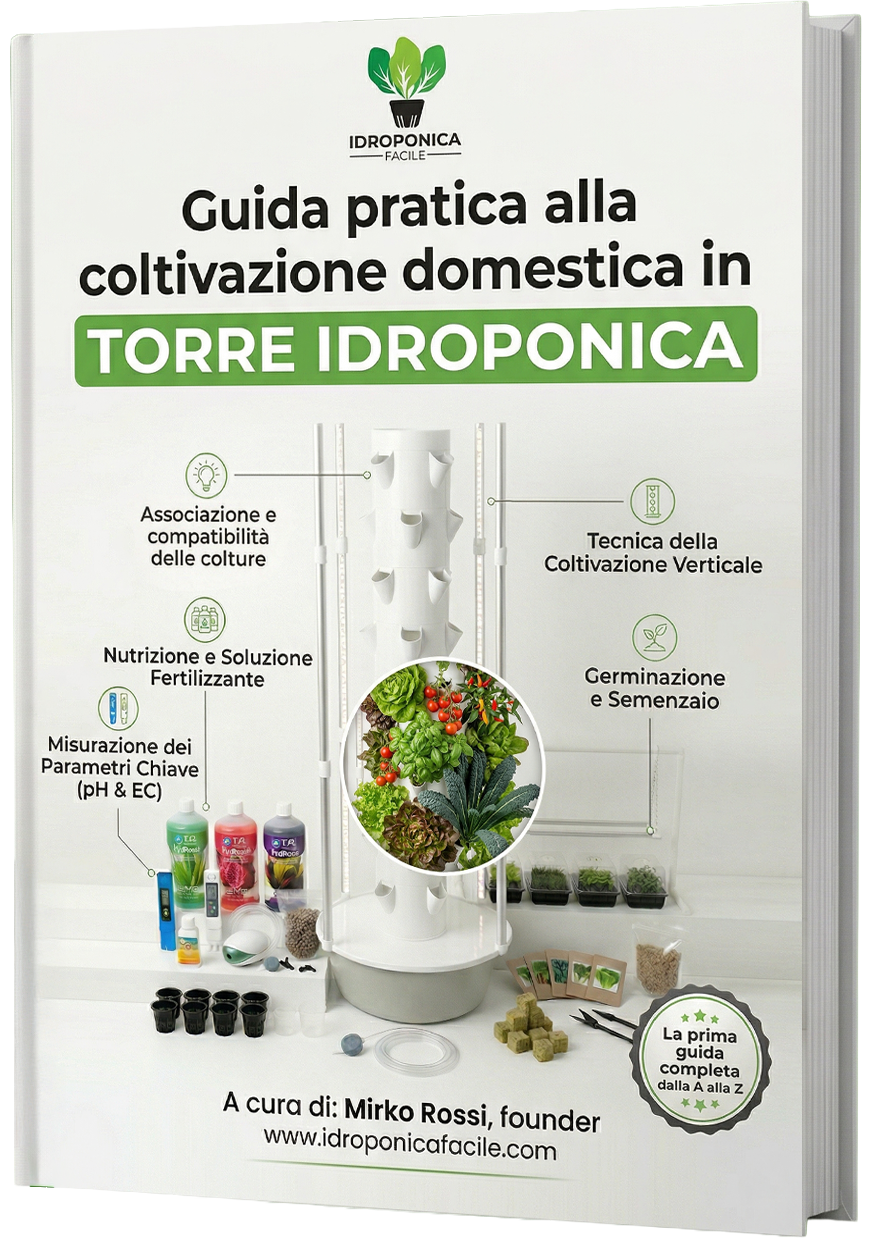 Guida completa alla coltivazione idroponica domestica