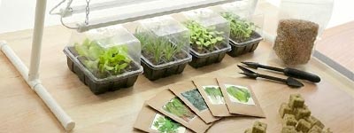 Semina - Kit Germinazione