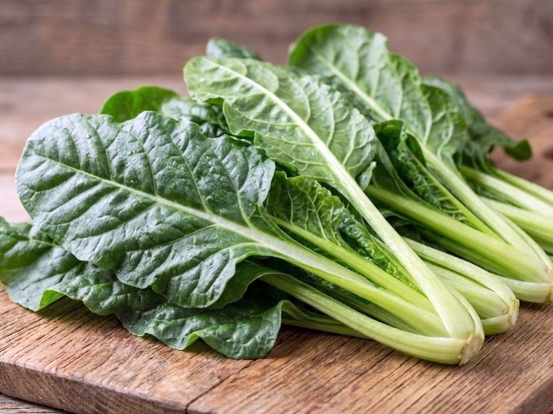 Bieta da taglio: scheda e guida idroponica